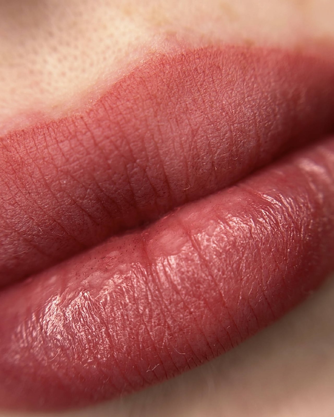 Perfect Lips in Rotenburg an der Fulda – Anastassia‘s Lashes